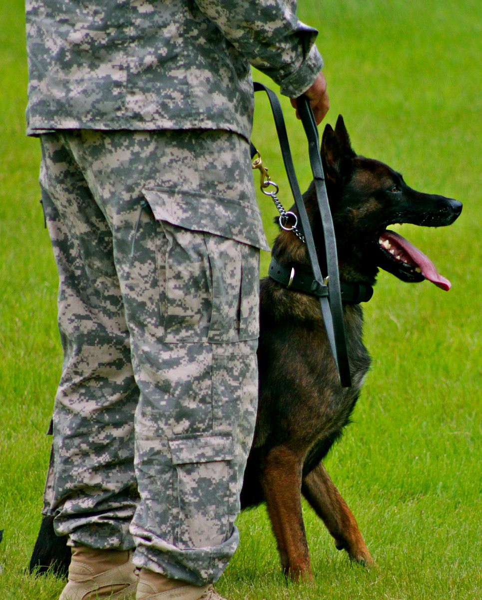 12 Liz Jackson Hero to Hero